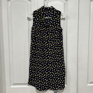 APT. 9 collared dress